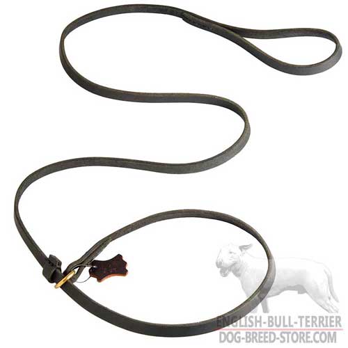 Walking Leather Dog Choke Collar Leash for Bull Terrier
