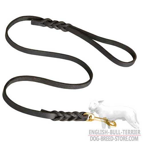 Designer Braided Leather Dog Leash for Bull Terrier