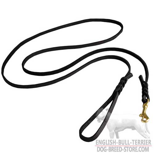 Designer Leather Bull Terrier Leash for Walking