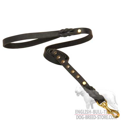 Fashion Walking Leather Dog Leash for Bull Terrier with Studs