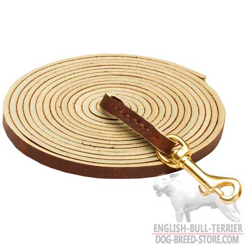 Strong Extra Long Leather Dog Leash For Bull Terrier Training and Tracking
