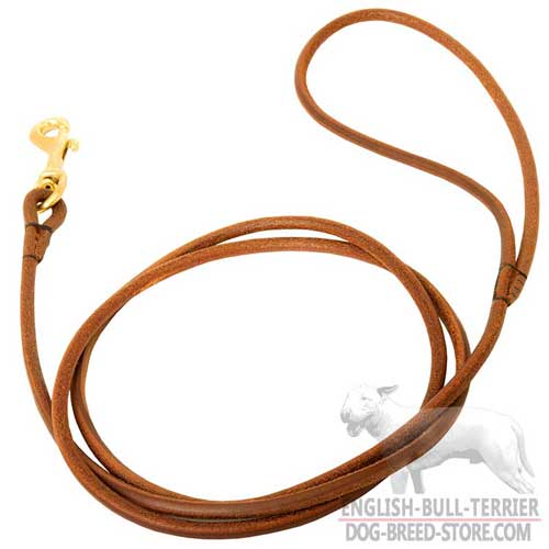 Reliable Leather Bull Terrier Leash with Durable Handle for Dog Shows