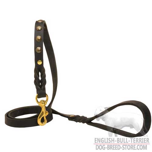 Training Studded Leather Dog Leash for Bull Terrier