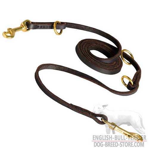 Training Leather Dog Leash for Bull Terrier