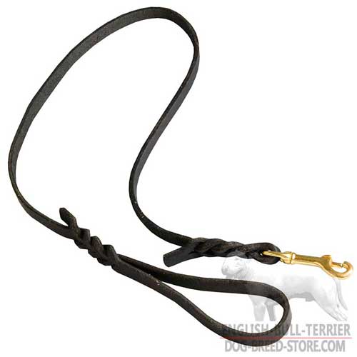 Fashion Walking Leather Dog Leash for Bull Terrier