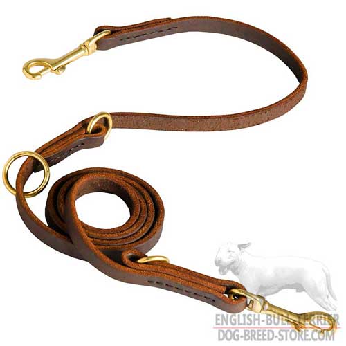 Walking Leather Dog Leash for Bull Terrier