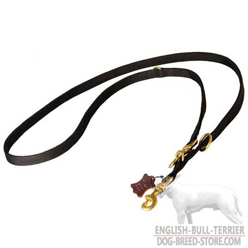 Walking and Training Nylon Bull Terrier Leash