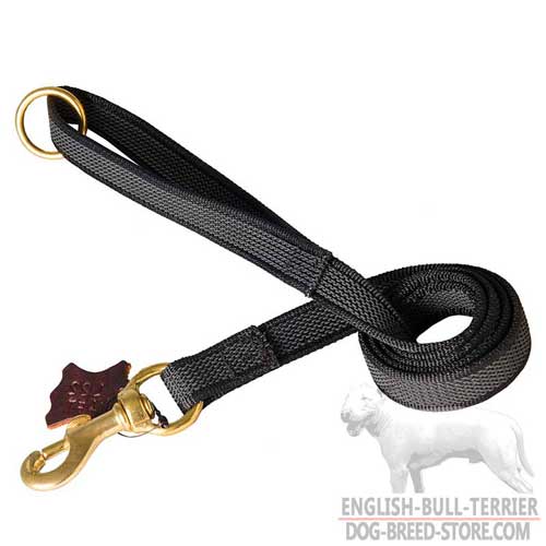 Strong and Durable Nylon Dog Leash for Effective Training