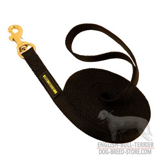 Long Nylon Bull Terrier Leash for Training Sessions