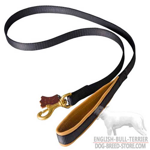 Nylon Bull Terrier Leash with Nappa Padded Handle