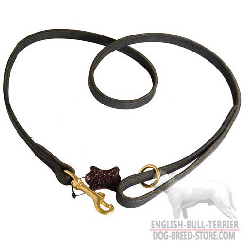 Non-Toxic Designer Leather Dog Leash for Daily Walking