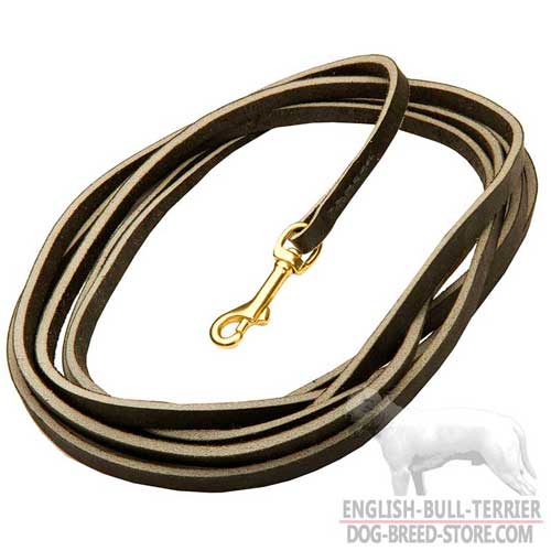 Training Extra Long Leather Dog Leash 