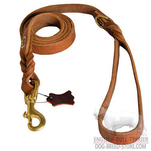 Handcrafted Leather Dog Leash Decorated With Marvelous Braids