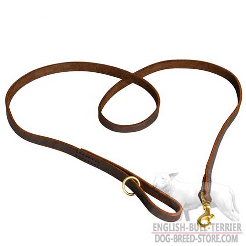 Durable Leather Dog Leash With Shiny Gold-Like Brass Fittings