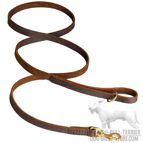 Reliable Stitched Leather Dog Leash for Walking and Training