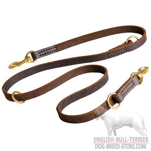 Handcrafted Walking Leather Dog Leash With Solid Gold-Like Brass Rings