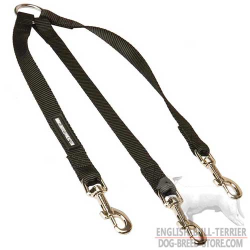 Best Nylon Dog Leash For Easy Walking 3 Dogs