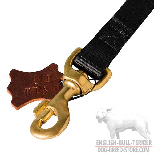 Durable High Quality Brass Snap Hook on All Weather Nylon Dog Leash