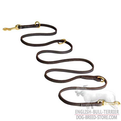 Designer Walking Leather Dog Leash for English Bull Terrier for Pleasant Walking