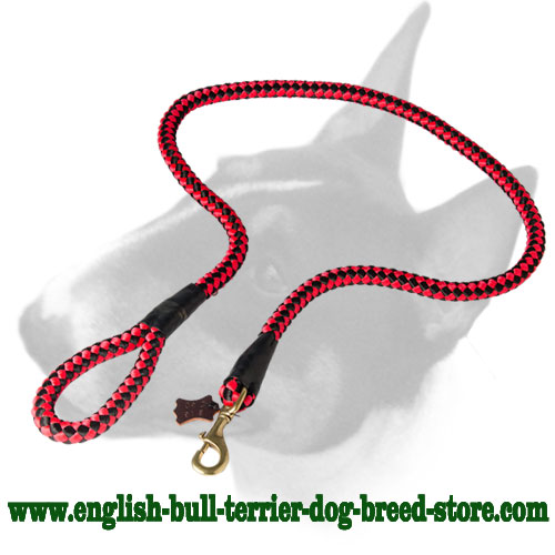 Nylon red color ornament cord dog leash for English Bull Terrier