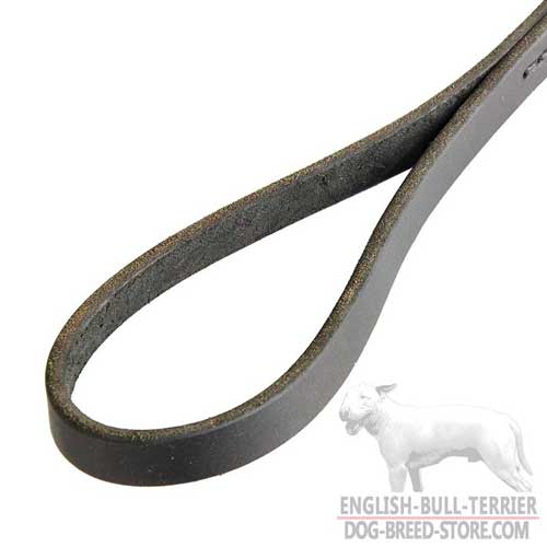 Durable Handle of Leather Dog Choke Collar Leash for Bull Terrier