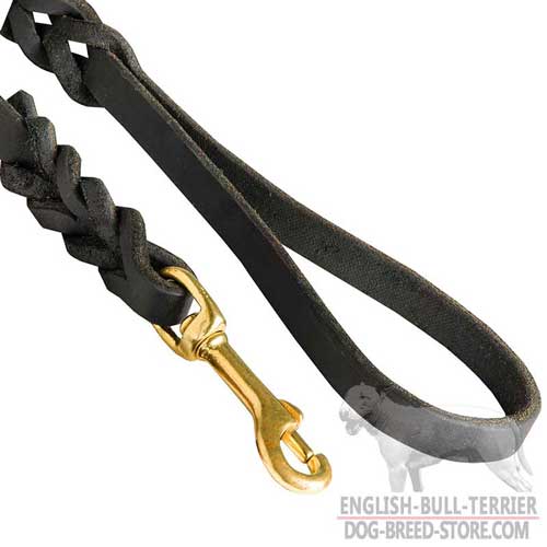 Snap Hook on Leather Dog Leash for Bull Terrier with Soft Handle