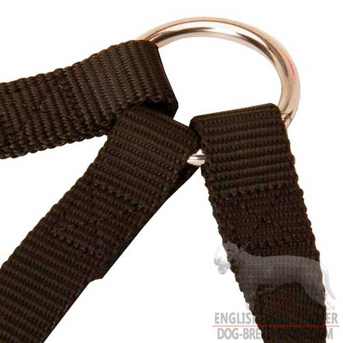 Durable Nickel Plated O-Ring on Walking Nylon Dog Leash Coupler