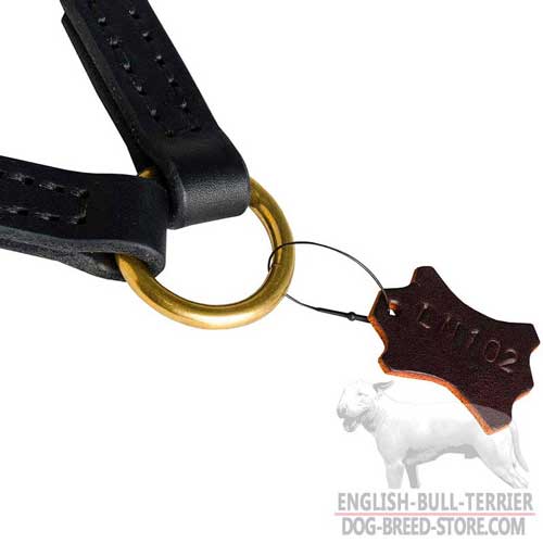 Wide O-ring of Braided Leather Bull Terrier Coupler