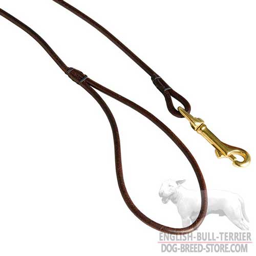 Golden Brass Snap Hook On Handmade Designer Leather Dog Leash