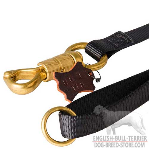 Strong Brass Snap Hook with Smart Lock on Professional Nylon Dog Leash