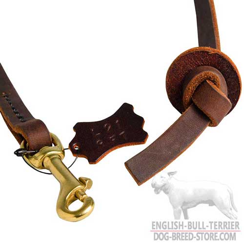 Solid Brass Snap Hook On Durable Leather Dog Leash