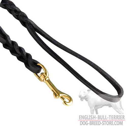 Durable Brass Hook and Soft Handle of Fashion Leather Bull Terrier Leash