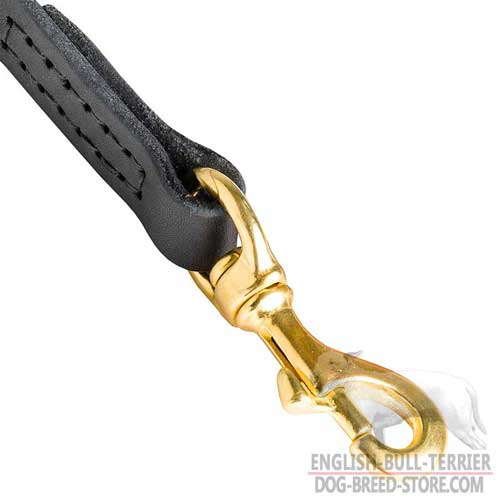 Solid Snap Hook on Designer Leather Dog Leash for Bull Terrier