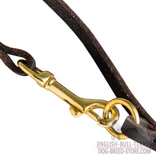 Solid Brass Snap Hook on Fashion Practical Leather Dog Leash for Bull Terrier