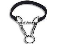 All Weather Nylon Martingale Bull Terrier Collar All Weather Nylon Martingale Bull Terrier Collar