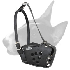 High Quality Leather Dog Muzzle