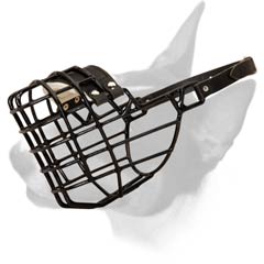 English Bull Terrier Wire Dog Muzzle for winter