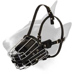 Wire Cage Bull Terrier Muzzle with soft padding
