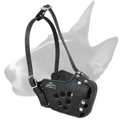 Bull Terrier training genuine leather dog muzzle