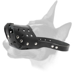 Bull Terrier Muzzle for daily walking and training