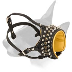 Bull Terrier spiked muzzle made of leather