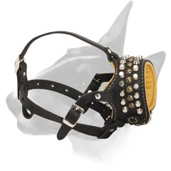 Bull Terrier muzzle made of leather for everyday use