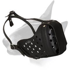 Bull Terrier training muzzle made of leather