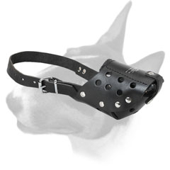 Bull Terrier muzzle for training, walking, playing made of genuine leather