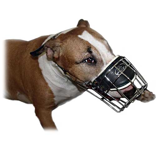 Wide Wire Cage Bull Terrier Muzzle with Soft Nose Padding